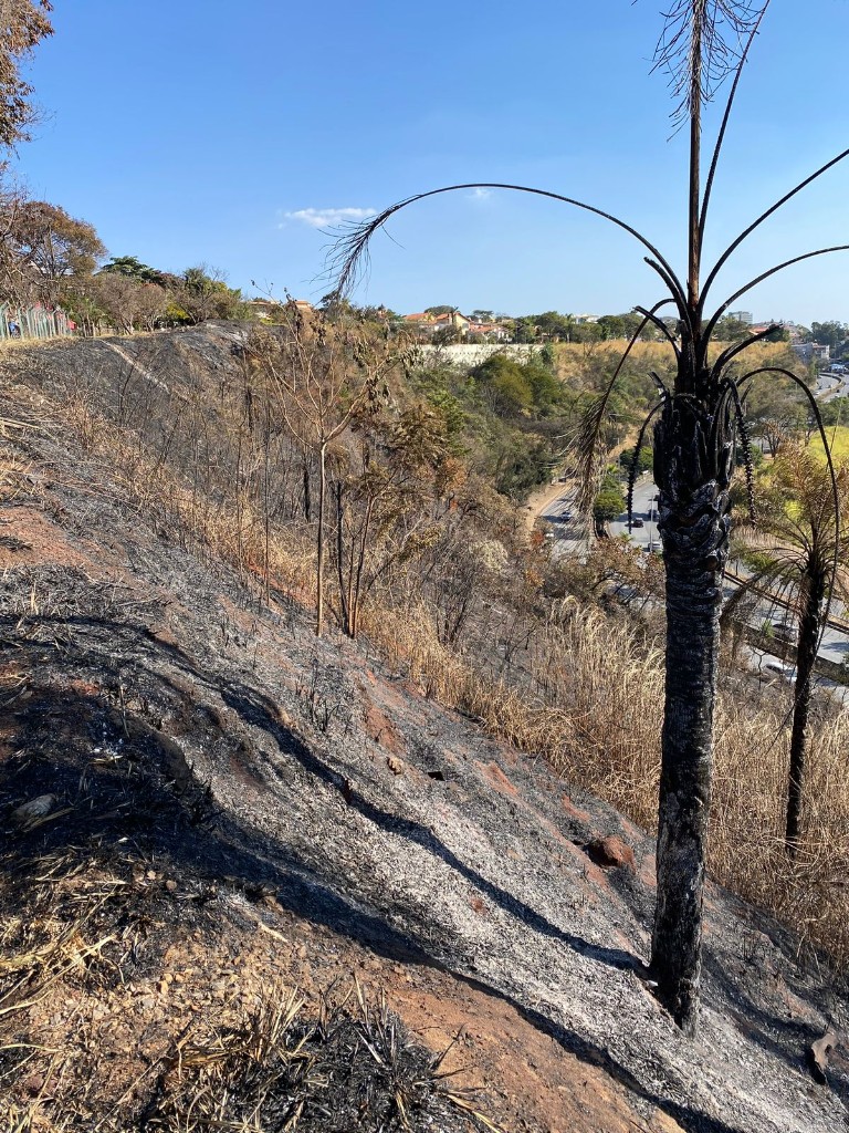 Encosta após incêndio no período seco, com vegetação queimada