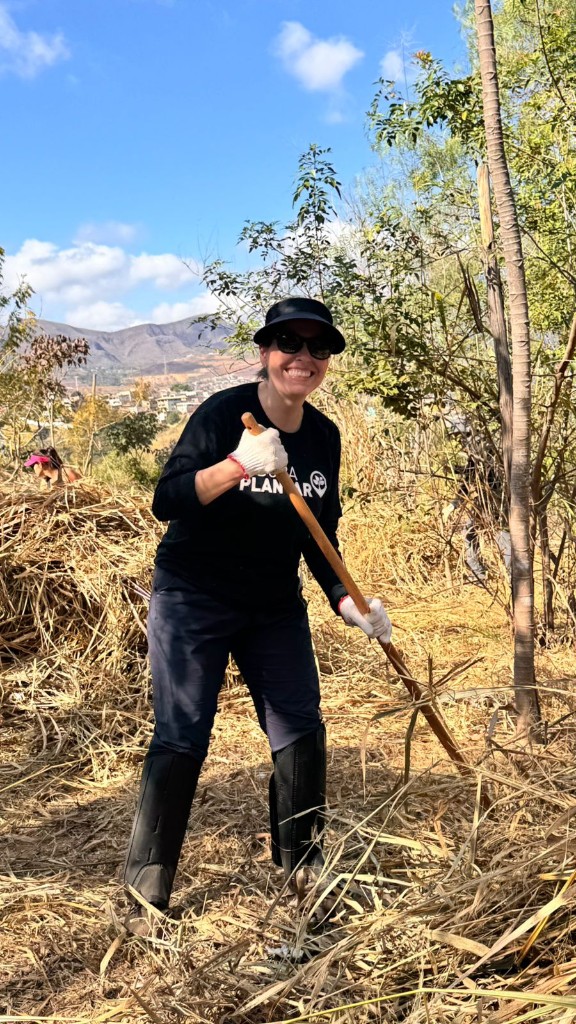 Voluntária do Bora Plantar rastelando palha em área restaurada no período seco