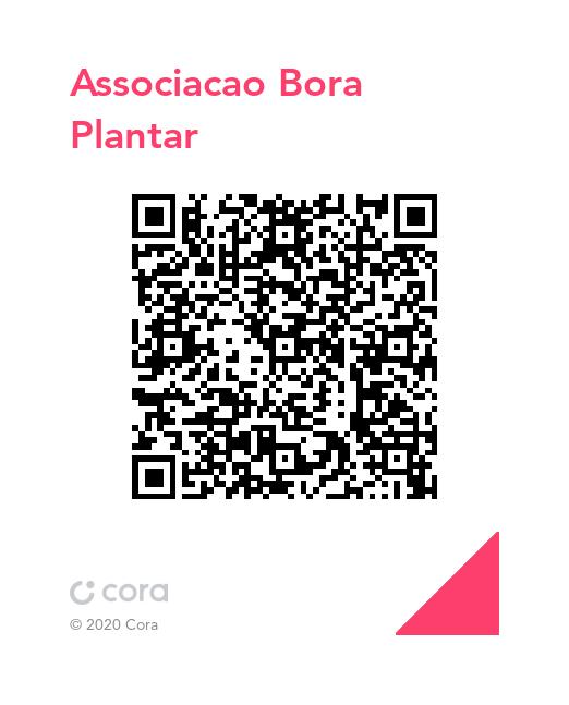 QR Code PIX Associação Bora Plantar